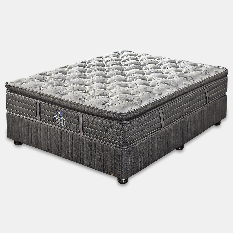 Sealy Crown Jewel Sacony Medium